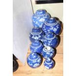 Collection of eight Chinese blue and white prunus ginger jars and seven covers.