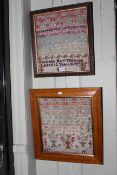 Two 19th Century framed alphabet samplers in glazed frames, largest 42cm by 39cm overall.