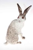 Winstanley Arctic Hare, size 6.