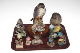 Royal Doulton limited edition Peregrine Falcon, Poole Owl, and eight bird sculptures (10).