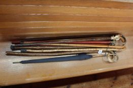 Collection of walking canes including horn and brass bound.