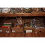 Three boxes of annuals, fox taxidermy and sheepskin coat.
