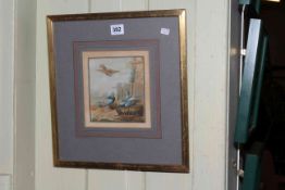 Early watercolour, Pigeons Nesting, 15cm by 13cm, in gilt glazed frame.