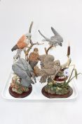 Border Fine Arts Flying Peregrine and three Country Artists Birds of Prey models.