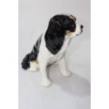 Winstanley King Charles Spaniel, size 9.