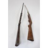 Two air rifles, one is German Military.