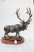 Bronzed stag on plinth, 48cm high.