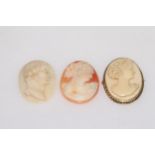 Two ivory brooches and unmounted cameo (3)