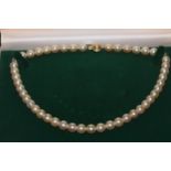 Pearl uniform necklace with 18 carat gold clasp, 42cm length.
