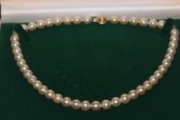 Pearl uniform necklace with 18 carat gold clasp, 42cm length.