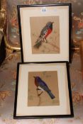 Pair watercolour and feather bird pictures in glazed frames, 32cm by 27cm including frames.