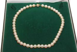 Pearl necklace with 18 carat gold clasp, 42cm length.