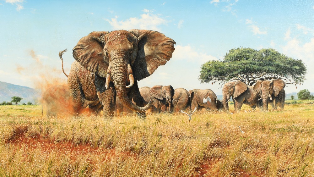 Steve Burgess ARR Framed oil on canvas, signed 'Elephants in the Masai Mara' 70cm x 120cm
