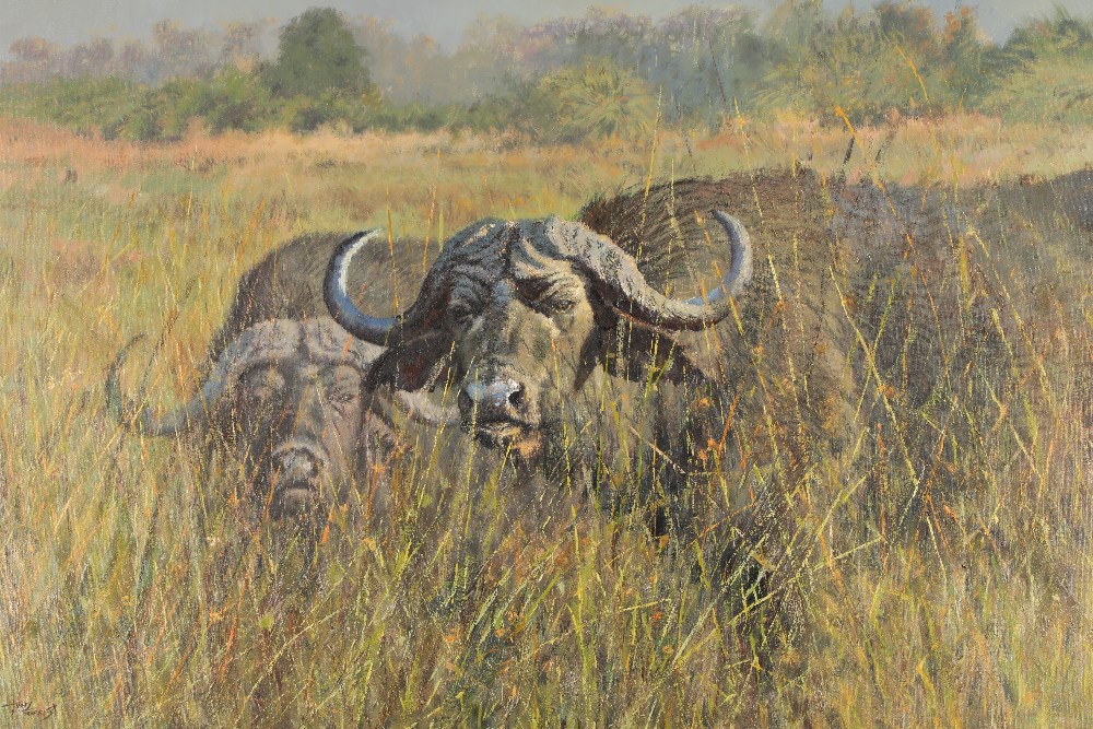 Tony Forrest ARR Framed oil on canvas, signed 'Buffalo, Okavango Delta, Botswana' 84cm x 125 cm