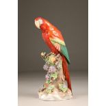 Capodimonte porcelain parrot figure ornament, 44cm high.