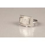 18 carat white gold diamond cluster ring, 21 princess cut diamonds set within a central rectangle,