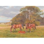 Peter A Smith (Scottish born 1949) ARR Gilt framed oil on canvas 'Two Horses and Two Foals in