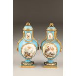 Pair 19th century continental vases and covers, sky blue ground, decorated with hand painted
