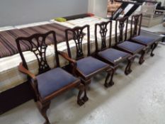 A set of five antique mahogany chairs in the Georgian style