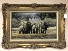 *** Lot withdrawn *** Stephen Park : Elephants in a clearing, oil on board, signed, 49.