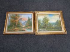 Two gilt framed oils on canvas depicting landscapes with mountains beyond