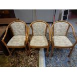 Three contemporary bentwood armchairs in floral fabric