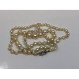 A pearl necklace with gold and diamond clasp