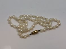 A 20 inch strand of pearls of 18ct gold clasp