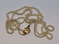 A 20 inch double strand of pearls on 14ct gold clasp