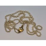 A 20 inch double strand of pearls on 14ct gold clasp