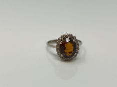 An 18ct white gold garnet dress ring, size P CONDITION REPORT: 3.