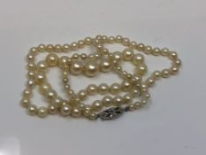 A pearl necklace with gold and diamond clasp