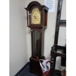 A reproduction regulator grandmother clock