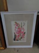 A colour print depicting orchids in good quality white frame with mount