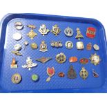 A collection of military cap badges,