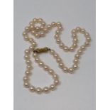 A cultured pearl necklace on 9ct bow clasp, each pearl diameter approximately 6.2 mm, length 50 cm.