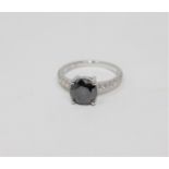 A 14ct white gold solitaire diamond ring, the principal black diamond weighing 1.