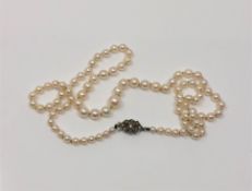 A strap of pearls with marcasite clasp
