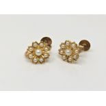 A pair of antique 9ct gold pearl cluster earrings CONDITION REPORT: 2.