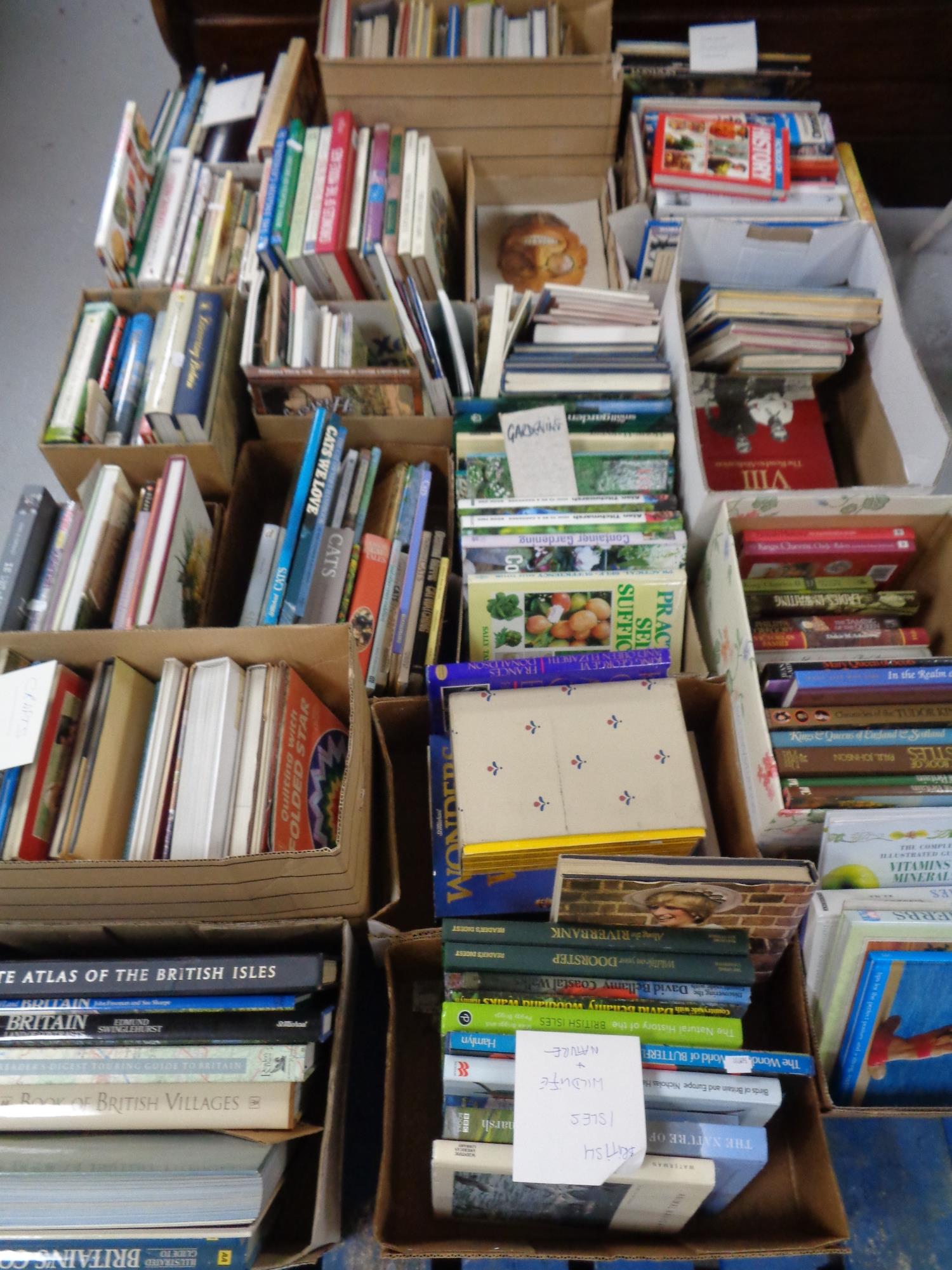 Two pallets of a large quantity of hard back books - crafting, wildlife, gardening,