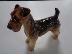 A large Beswick figure of an Airdale terrier, height 20.5 cm, length 25 cm.