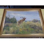 A 20th century continental school oil on canvas, stag in rural landscape, signed C.