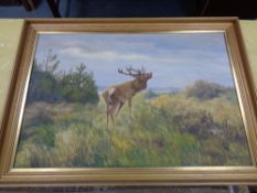 A 20th century continental school oil on canvas, stag in rural landscape, signed C.