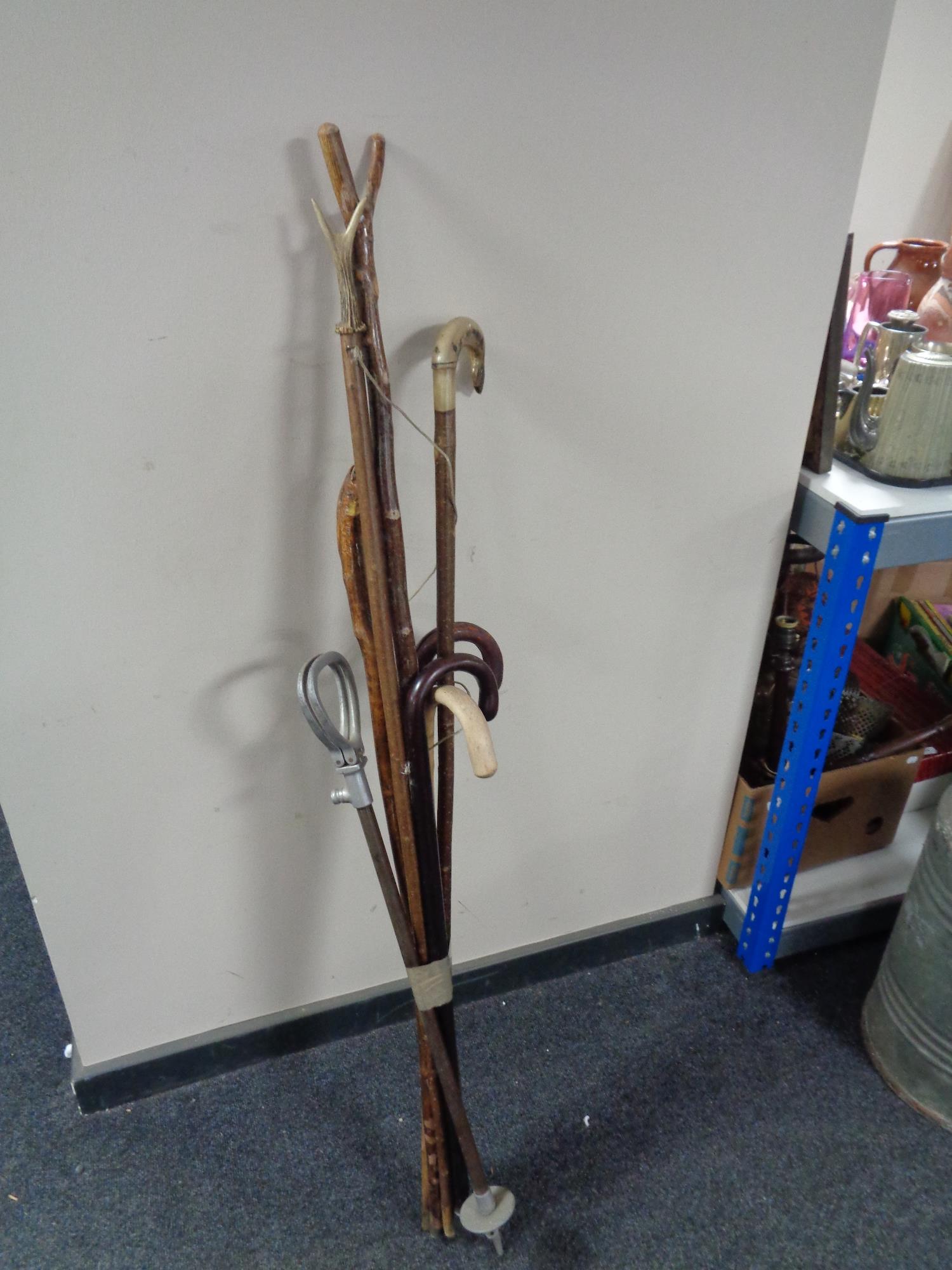 A bundle of 20th century walking sticks and crooks together with a shooting stick