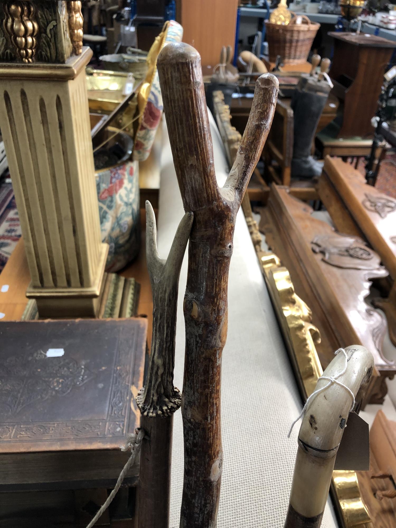 A bundle of 20th century walking sticks and crooks together with a shooting stick - Image 7 of 7