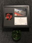 A 'Blood Swept Lands and Sea of Red' poppy in display case,