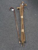 A bundle of 20th century wooden walking sticks