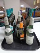 A tray of twelve assorted bottles of wine - Frascati, cabernet,