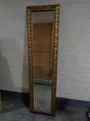 A 5' by 1' hall mirror in decorative gilt frame