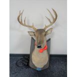 An electronic wall mounted deer's head.